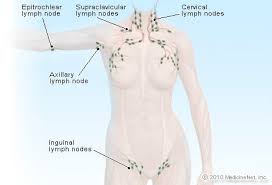 Maybe you would like to learn more about one of these? Illustration Picture Of Lymphatic System Lymph Nodes