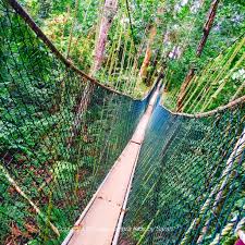 A slightly strenuous hike is going to bukit indah (beautiful view hill). The Canopy Walkway Of Taman Negara With Children Kualalumpurkids