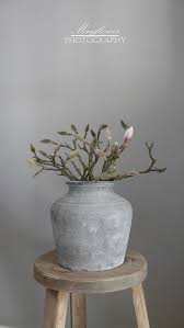 mooie pot met takken decoratie decoratie ideeen woonkamer decoratie