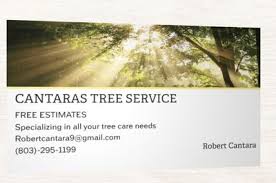 Maybe you would like to learn more about one of these? The 10 Best Fruit Tree Pruners In Charlotte Nc With Free Estimates
