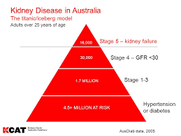 Structural evaluation includes imaging studying and. Management Of Stage 3 Chronic Kidney Disease Ckd In General Practice Ppt Video Online Download