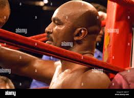 Boxing champ hi-res stock photography and images