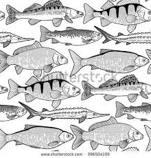 Graphic Freshwater Fish Seamless Pattern Sturgeon Roach Zander Colouring Sheets Fish Coloring Page Fish Fish Painting