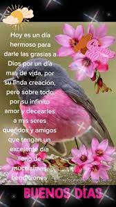 Pin En Mis Videos Tik Tok