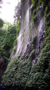 Tenang bagi anda yang tidak membawa makanan ikan dapat membelinya pada pengurus kolam hanya pertama adalah pancuran telu dan yang kedua adalah pancuran pitu. Tekaan Telu Waterfall Kentur Empung