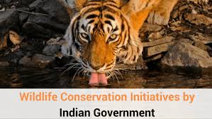 Literature review for assignment 1 0 literature review while the research problem indicates that the wildlife conservation act 2010 could contain some. Wildlife Conservation Initiatives By Indian Government