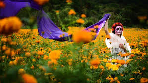 Siendo niños se divertían jugando juntos y disfrutando de los alrededores de su pueblo. Dia De Los Muertos Altar Flor De Cempasuchil Unleashing My Inner Chingona