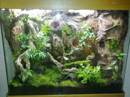 Http Www Reptileforums Co Uk Forums Members Jon R Albums Dart Frog Viv Work Progress Picture138779 09052011466 Jp Dart Frog Tank Frog Tank Dart Frog Vivarium
