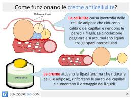 Quale la crema anticellulite biologica top? Creme Anticellulite Come Funzionano Sono Efficaci Le Migliori A Confronto