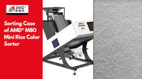 AMD® M80 Mini Rice Color Sorting Machine