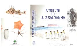 Pdf A Tribute To Luiz Saldanha Manuel Biscoito Academia Edu