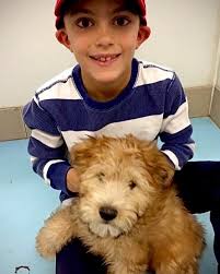 What up white 🤍 #chat #chatjr #sparta