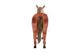 Choose from over a million free vectors, clipart graphics, vector art images, design templates, and illustrations created by artists worldwide! Horse Butt Svg Cut File By Creative Fabrica Crafts Creative Fabrica
