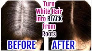 Turn White Hair Into Black From Roots Grey Hair Hair Oil Superprincessjo Anti Gray Hair Reverse Gray Hair White Hair