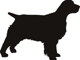 Black And White Springer Spaniel Clipart English Springer Spaniel Stencil English Springer Spaniel Springer Dog Springer Spaniel