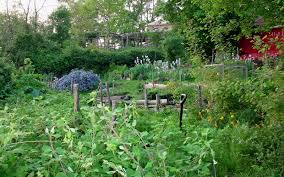 Applying Ecological Design Gardens And Permaculture Asla Org