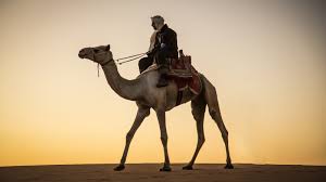 They were so tall and they were sure they would fall off. What Cars Are Produced In The United Arab Emirates What The Ultimate Luxury Looks Like Golden Cars Palaces And Dinners Of Sheikhs