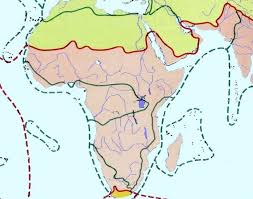 Image result for Sphaeranthus gazaensis