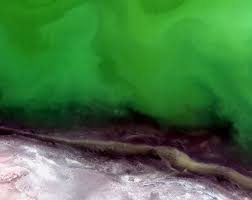 Space In Images 2015 01 Caspian Sea Earth From Space Image Satellite Image