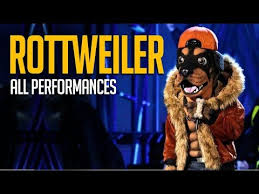 Are you the one?'s gianna hammer alleges american idol: 400 The Masked Singer Tms Season 1 Season 2 Ideas Singer Season 2 Singing Competitions