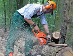 The pelletier brothers battle long hours and harsh conditions as they ferry huge pieces of timber along unpaved northern maine roads in massive trucks. Bureau Of Labor Statistics