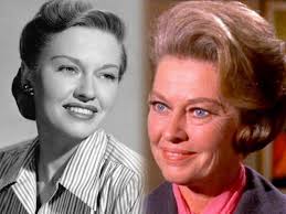 Purina Chow in Fredericksburg, Virginia 1954