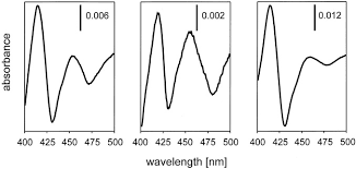 Ezinearticles.com allows expert authors in hundreds of niche fields to get massive levels of exposure in exchange for the submission of their quality original articles. Cytochrome P450 Cyp79a2 From Arabidopsis Thaliana L Catalyzes The Conversion Of L Phenylalanine To Phenylacetaldoxime In The Biosynthesis Of Benzylglucosinolate Journal Of Biological Chemistry