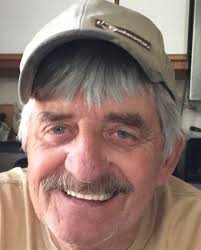 Contributions to the tribute of Daniel Lee Fitzpatrick