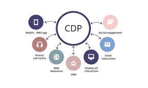 Customer Data Platform: Its Types, Importance and Need