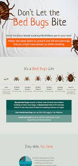 You will most commonly find them on the backs of leaves, based on the stems, on fruits and flower buds. The Bed Bug Life Cycle And How To Get Rid Of Them