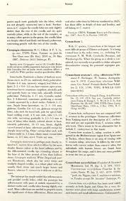 Image result for Vincetoxicum apiculatum