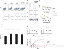 Your doctor will want to discuss treatment options as well as the prognosis for bladder cancer. Dominant Negative Tgf B Receptor Enhances Psma Targeted Human Car T Cell Proliferation And Augments Prostate Cancer Eradication Molecular Therapy