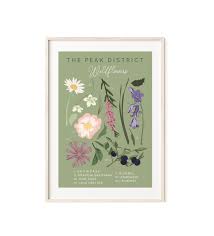Seed is the most common way to grow new plants. Illustrated Wild Flowers Found In The Peak District On A Sage Green Background Wildwood Paper