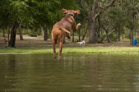 It is located two miles south of inverness, off of. Fort Cooper State Park Inverness Florida Rv Parks Mobilerving Com