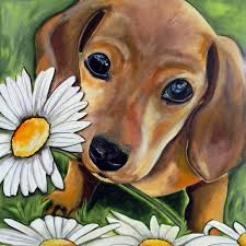 Draw an oval within the shape of the nose, and shade around it. Daisy Eyes Dog Portraits Art Dachshund Art Dog Drawing