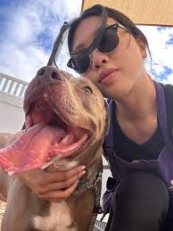 Do you have a heart for a wonderful special needs cat? Meet Pepperidge. He  enjoys lots of head and chin scratches. He was fostered and slept