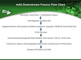 Bioreactor Harvest Minibioman Ppt Download