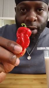 Reel by Jimmy Pickles (Isolated Pepper Seeds And Pepper Powders)  (@jimmypickles5) · December 11, 2025