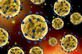 In humans and birds, they cause respiratory tract infections that can range from mild to lethal. Coronavirus Wir Durfen Die Anderen Patienten Nicht Vergessen