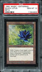 A circular patch of rug upon which colorful flowers have been enchanted to grow. 1993 Magic The Gathering Beta Non Sports Tcg Cards Psa Smr Price Guide