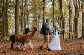Dieser artikel gehört zur home , finden sie ähnliche produkte bei alle kategorien , hochzeiten und feierliche anlässe , brautkleider. Brautkleider Brautmode Styled Shootings Von Mona Berg