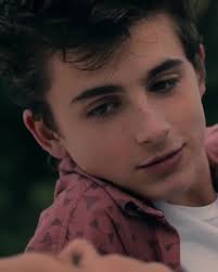 Exploring Timothée Chalamet's Impact