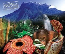 Последние твиты от sabah tourism board (@sabahtourism). Sabah Tourism Board Eventconnect Com