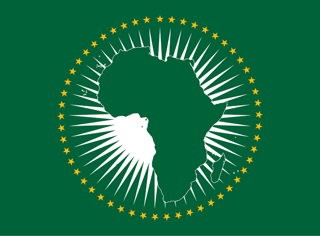 Image result for african union logo"