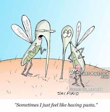 Pin On Funny Mosquito S