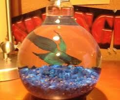 Upcycle This 15 Ways To Reuse Light Bulbs Redesign Revolution Light Bulb Aquarium Light Bulb Crafts Recycled Light Bulbs