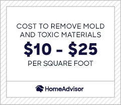 How much does a mold inspection cost. 2021 Cost Of Mold Remediation Mold Removal Per Square Foot Homeadvisor