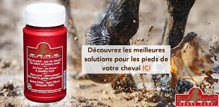 Sabot Cheval Problemes Et Soins Du Pied Cheval Le Paturon