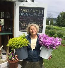 Check spelling or type a new query. Omena Cut Flowers