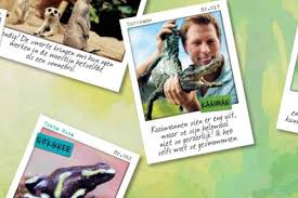 Er bestaat een levendige handel in wilde kameleons: Spaaractie Op Avontuur Met Freek Vonk Via Dierenplaatjes Van Albert Heijn Kids En Jongeren Marketing Blog